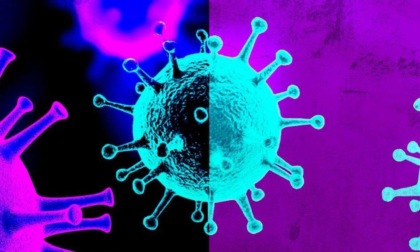 CORONAVIRUS: A LATINA E PROVINCIA 577 NUOVI CASI E 3 DECESSI