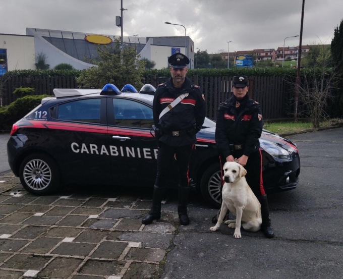 BRACCIANO: CANE FUGGE DA CASA, RITROVATO E RESTITUITO AL PROPRIETARIO