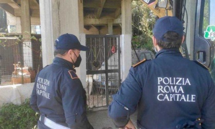 ROMA: VIA FLAMINIA, AL VIA LA BONIFICA