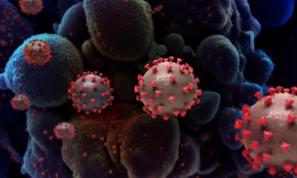 CORONAVIRUS: OGGI A LATINA E PROVINCIA 176 NUOVI CASI
