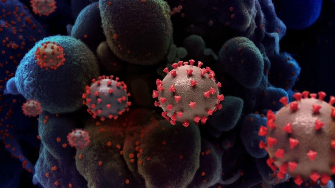 CORONAVIRUS: OGGI A LATINA E PROVINCIA 176 NUOVI CASI