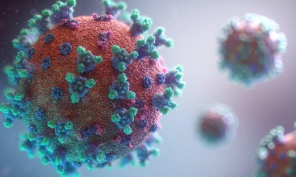 CORONAVIRUS: 681 CASI A LATINA E PROVINCIA