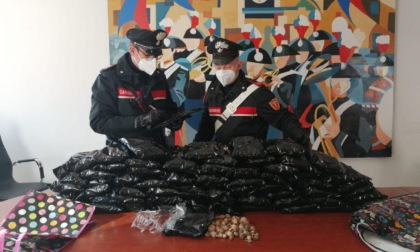 APRILIA: INDIANI SORPRESI CON SETTE CHILI DI OPPIO