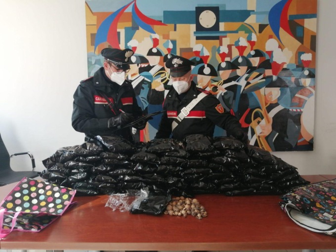 APRILIA: INDIANI SORPRESI CON SETTE CHILI DI OPPIO