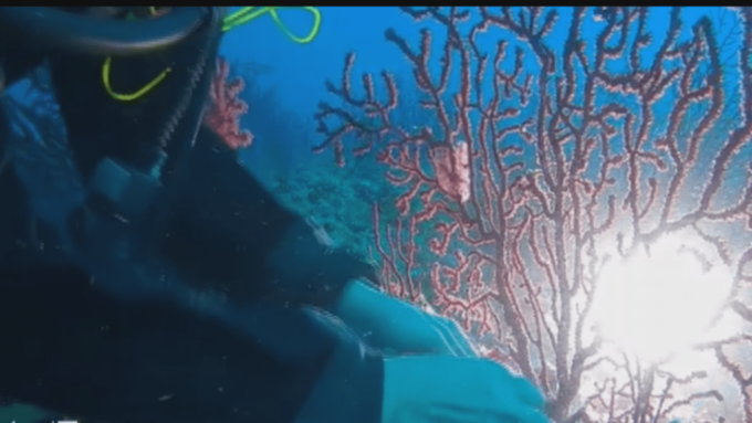 AMBIENTE: GIORNATA INTERNAZIONALE DEL MARE, SENSORI ANCHE A PONZA E NETTUNO