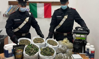 CASTEL MADAMA: SCOPERTA SERRA DI MARIJUANA IN UN CASOLARE