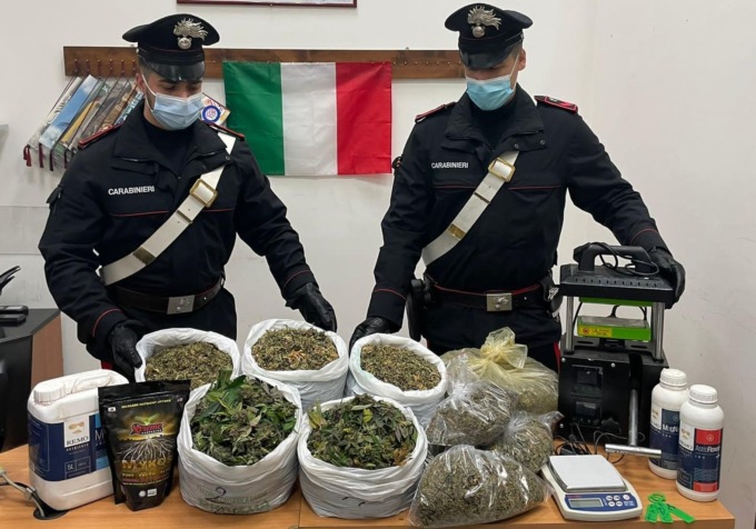 CASTEL MADAMA: SCOPERTA SERRA DI MARIJUANA IN UN CASOLARE