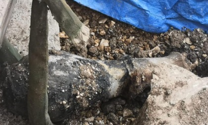 CASSINO: ORDIGNO BELLICO IN CENTRO
