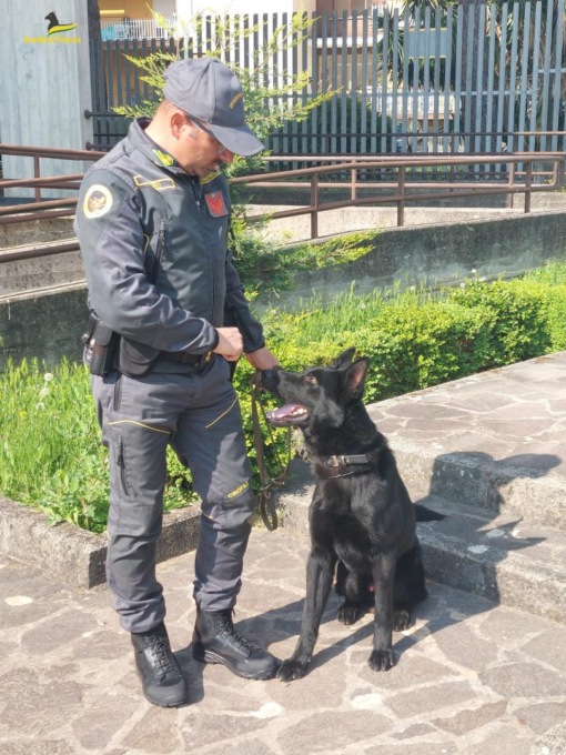 FORMIA: SI CHIAMA INDIO IL NUOVO CANE ANTIDROGA