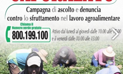 LATINA: CAPORALATO, UN NUMERO PER DENUNCIARE