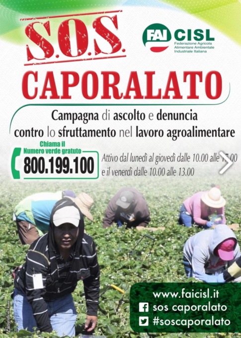 LATINA: CAPORALATO, UN NUMERO PER DENUNCIARE