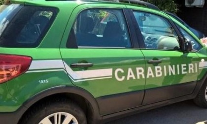 CECCANO: INQUINAMENTO AMBIENTALE, ORASI TORNA LIBERO