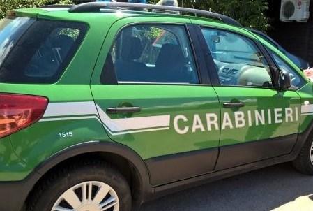 CECCANO: INQUINAMENTO AMBIENTALE, ORASI TORNA LIBERO