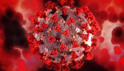 Covid: 193 nuovi casi locali confermati in Cina continentale