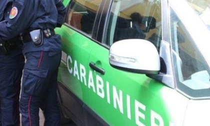 CECCANO: TRAFFICO ILLECITO DI RIFIUTI E INQUINAMENTO AMBIENTALE, MAXI SEQUESTRO. DUE ARRESTI E 14 INDAGATI