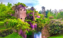 CISTERNA: NINFA, IL RESTAURO DEGLI ANTICHI MULINI