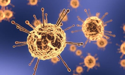 CORONAVIRUS: OGGI A LATINA E PROVINCIA 401 NUOVI CASI ED UN DECESSO