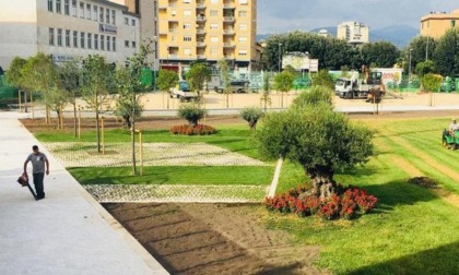 FROSINONE: AGGRESSIONE AL PARCO, CONNVOLTI DEI GIOVANI