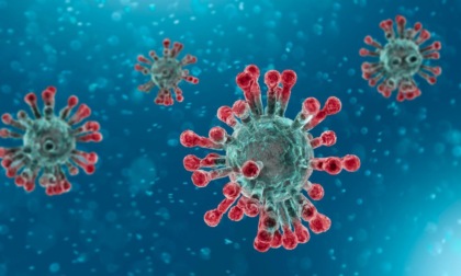 CORONAVIRUS: OGGI A LATINA E PROVINCIA 575 NUOVI CASI E 1 DECESSO