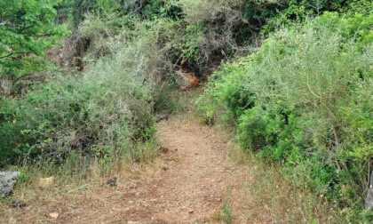 TERRACINA: LA BONIFICA DELLA VIA FRANCIGENA DEL SUD