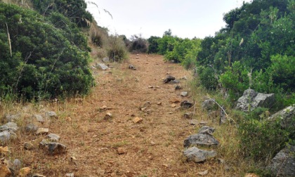 MONTE SAN BIAGIO/TERRACINA: PULITA LA VIA FRENCIGENA DEL SUD