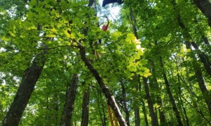 RIETI: PILOTA DI PARAPENDIO PRECIPITA TRA TRA GLI ALBERI
