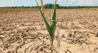 REGIONE: SICCITA’, EMBARGO ALL’ACQUA LUDICA