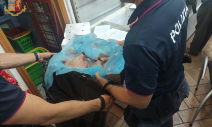 ROMA: 14 CHILI DI CARNE SEQUESTRATI IN UN MINIMARKET