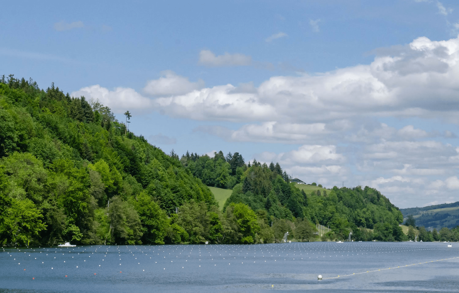 Maglietta Calcio Brasile Personalizzata - Con Nome E Numero, Cotone 100%, Per Bambini - Coppa Del Mondo 2022