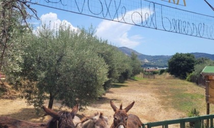 TERRACINA: DEMETRA, SPETTACOLO PER LA VALLE DEL BENESSERE