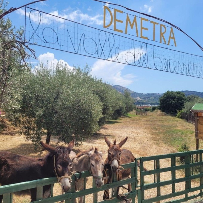 TERRACINA: VALLE DEL BENESSERE, IL PROGETTO DI DEMETRA
