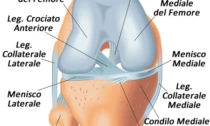 LATINA: GINOCCHIO, CONVEGNO SU INFORTUNI E PATOLOGIE