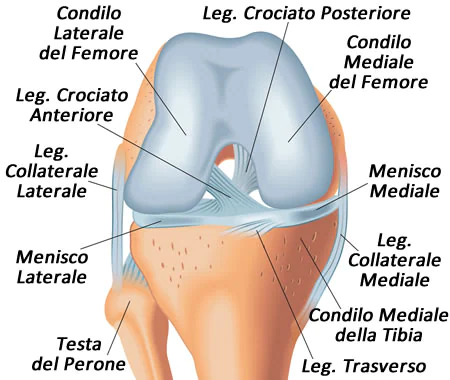 LATINA: GINOCCHIO, CONVEGNO SU INFORTUNI E PATOLOGIE