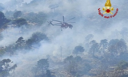 LAZIO TV: INCENDI, PENE SEVERE PER I COLPEVOLI