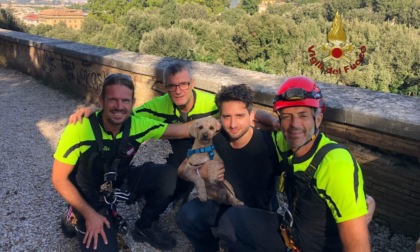 ROMA: VILLA BORGHESE, CAGNOLINO SALVATO DAI VIGILI DEL FUOCO