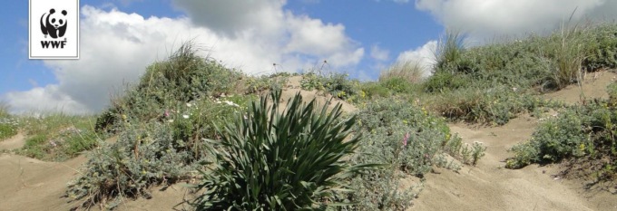 OSTIA/TERRACINA: “FRAMMENTI DI NATURA” PER EVITARE IL DEGRADO