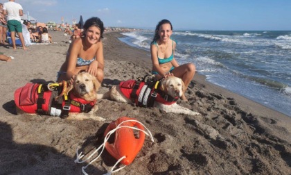 MONTALTO DI CASTRO: CANI EROI SALVANO DUE DONNE