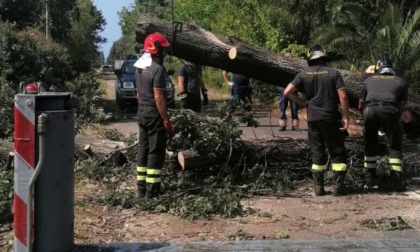 MALTEMPO: TROMBA D’ARIA, CHIESTO LO STATO DI CALAMITA’