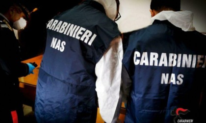FROSINONE/LATINA/VITERBO: CONTROLLI DEI NAS NELLE MENSE SCOLASTICHE, RAFFICA DI SANZIONI