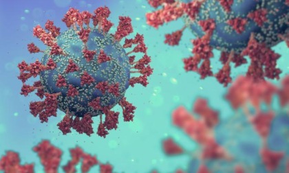 CORONAVIRUS: OGGI NEL LAZIO 614 NUOVI CASI E 5 DECESSI