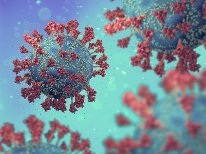 CORONAVIRUS: OGGI NEL LAZIO 614 NUOVI CASI E 5 DECESSI
