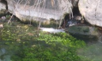 TERRACINA/FONDI: SCHIUMA E LIQUIDO SOSPETTO NELLA "FIUMETTA"