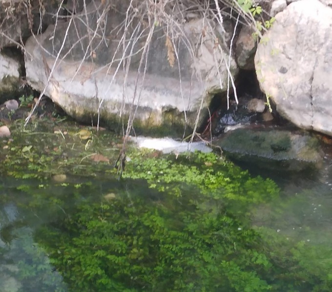 TERRACINA/FONDI: SCHIUMA E LIQUIDO SOSPETTO NELLA “FIUMETTA”