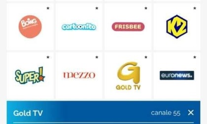 TELEVISIONE: GOLDTV SUL CANALE 55 DI RAI TIVU'SAT