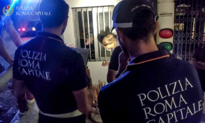 ROMA: CANI RINCHIUSI SENZA ACQUA E CIBO, SALVATI DALLA POLIZIA LOCALE