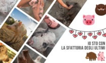 ROMA: SFATTORIA, ANIMALI SALVI FINO AL 14 SETTEMBRE