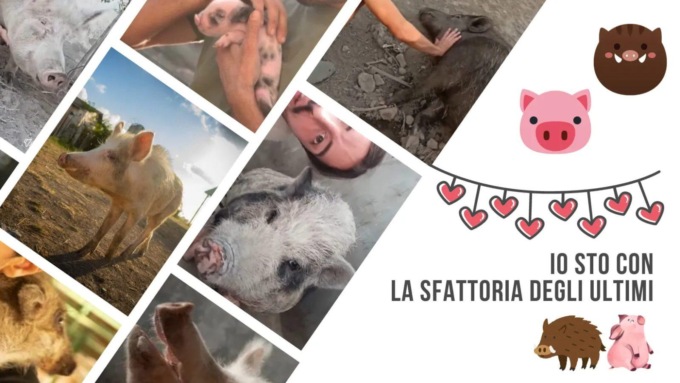 ROMA: SFATTORIA, ANIMALI SALVI FINO AL 14 SETTEMBRE