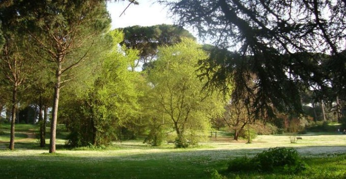 OMA: ALLARME OZONO A VILLA ADA