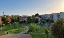 TERRACINA: AREA CHEZZI, RINVIATA LA RIMOZIONE DEGLI ALBERI