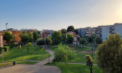 TERRACINA: AREA CHEZZI, RINVIATA LA RIMOZIONE DEGLI ALBERI